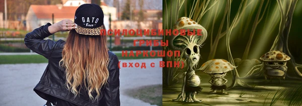 ешки Алзамай