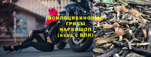 дурь Алексин